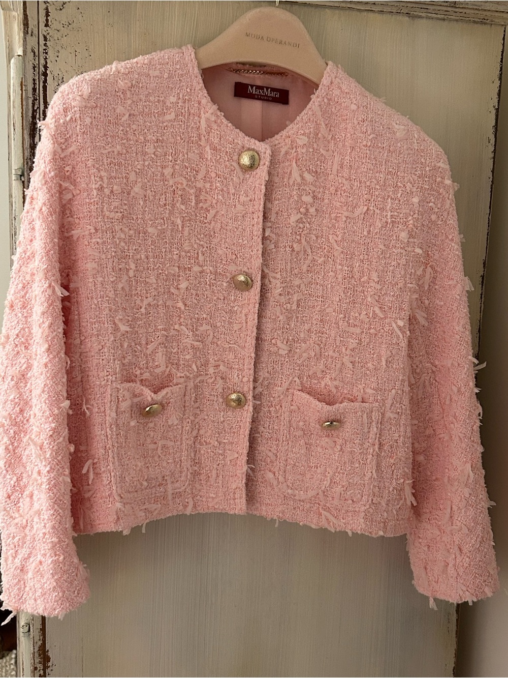 Max Mara Short,  Soft Pink,  3 Button Jacket